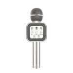 میکروفون پرو وان مدل PMB66